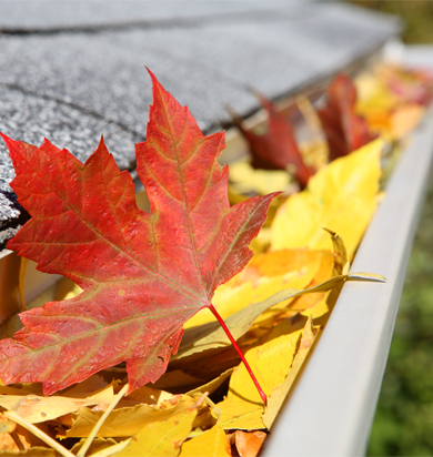 Goutière pleine de feuilles